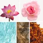 Preview: Duftnoten: Lotus, Rose, Ambra, Zedernholz, wässrige Noten Preview: Duftnoten: Lotus, Rose, Ambra, Zedernholz, wässrige Noten